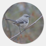 Mockingbird Ornithology Round Sticker