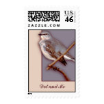 Mockingbird