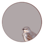 Mockingbird