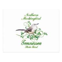 Mockingbird Tennessee State Bird Post Cards