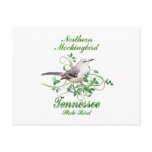 Mockingbird Tennessee State Bird postcards