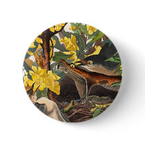 Mockingbirds, John James Audubon buttons