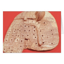 Model of a sheep's liver greeting cards