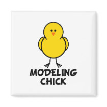 Modeling Chick magnets