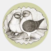 Modena Gazzi Pigeons Sticker