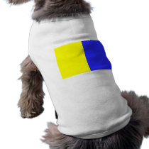 Modena, Italy pet clothing