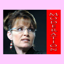 Moderating Sarah Palin? Poster