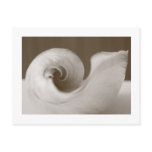 Modern Art Post Card