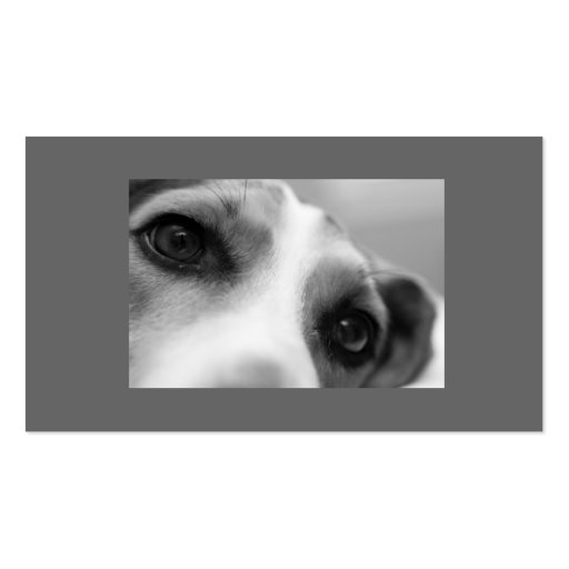 Modern Dog Eyes and Paw Business Card Template (front side)