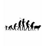 Modern Evolution Shirt