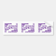 Modern Feminine Chic Stylish Grandmas Grandmothers Bumper Stickers