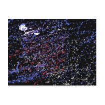 "Modern Festivity" postcards