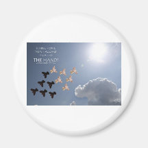 Modern flying hazard. fridge magnet