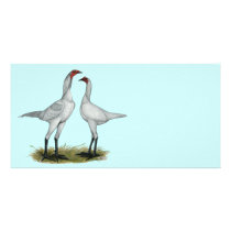 Modern Game Bantam:  Self Blue Photo Card Template