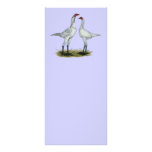 Modern Game Bantam:  Self Blue rack cards