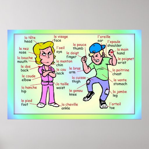 Modern languages, French, Parts of the body Poster Zazzle