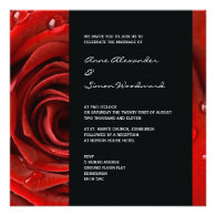 Modern Red Rose Wedding Invitation