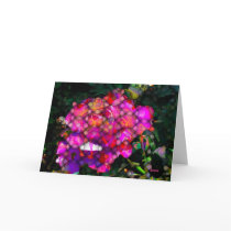 Modern Rose cards by Tisane Modern Rose cards