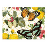 modern vintage butterfly garden postcard