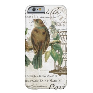 Modern Vintage French birds and birdcage iPhone 6 Case