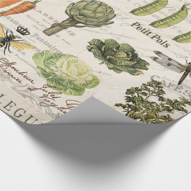 modern vintage french vegetable garden wrapping paper 4/4