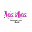 Modest is Hottest Scripted tee t-shirts