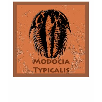 Modocia Typicalis fossil trilobite shirt