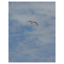 Moewe im Flug letterhead by orange71 Moewe im Flug letterhead