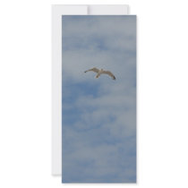 Moewe im Flug rack cards by orange71 Moewe im Flug rack cards
