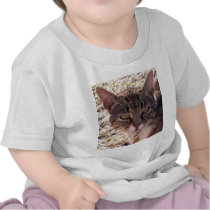 MOGGY t-shirts
