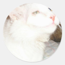 Moglie Sticker