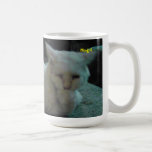MogulFund Mugs