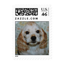 Mohawk puppy stamp stamps
