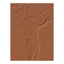 Mohawk Trail Statue posters