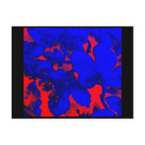 Mohegan Sun Casino Carpet Edit Photo Postcards