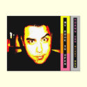 Moi 172Qi postcards