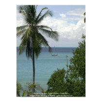 Moira at anchor, Bahia Drake, Costa Rica posters by lshickzazzle Moira at anchor, Bahia Drake, Costa Rica posters