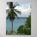Moira at anchor, Bahia Drake, Costa Rica posters