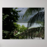 Moira at anchor, Bahia Drake, Costa Rica posters