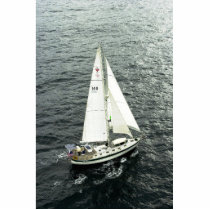 Moira Under Sail Acrylic Cut Outs