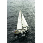 Moira Under Sail Acrylic Cut Outs