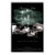 envinity, moira's, lake, moiras, album, band,