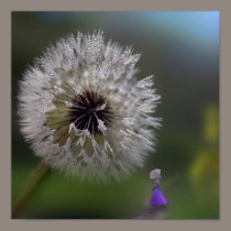 Moist Dandelion posters