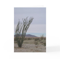 Mojave Desert cards by plellski Mojave Desert cards