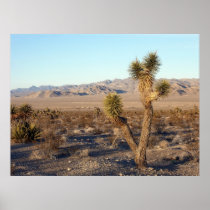 Mojave Desert scene 01 Poster
