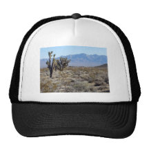 Mojave Desert scene 03 Trucker Hats