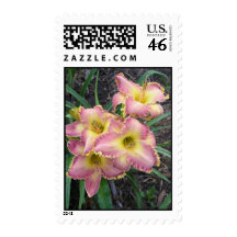 Mojave Morning Postage Stamps