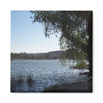 Mojave Narrows Lake magnets
