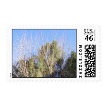 Mojave Spring Postage