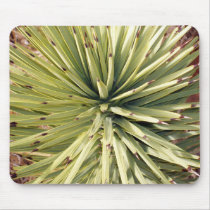 Mojave Yucca mousepads